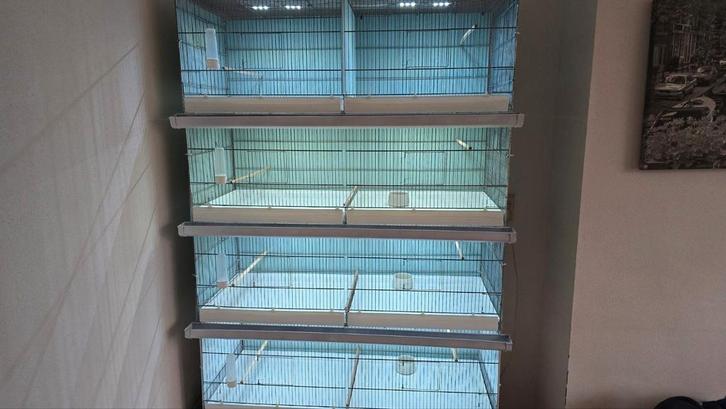 Draadkooien / vluchtkooien 120 cm LED verlichting, Dieren en Toebehoren, Vogels | Hokken en Kooien, Broedkooi of Kweekkooi, Kunststof