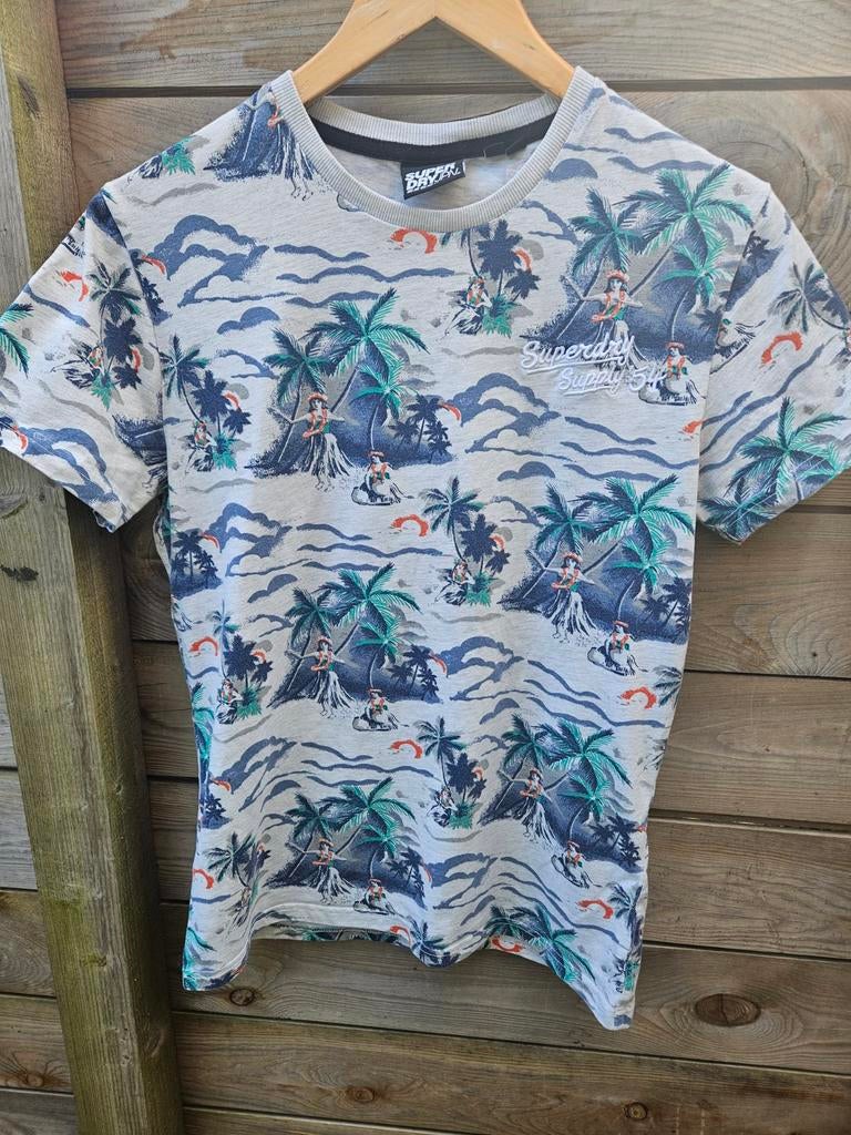 Leuk shirt van Superdry, Ophalen of Verzenden, Zo goed als nieuw, Grijs, Maat 46 (S) of kleiner
