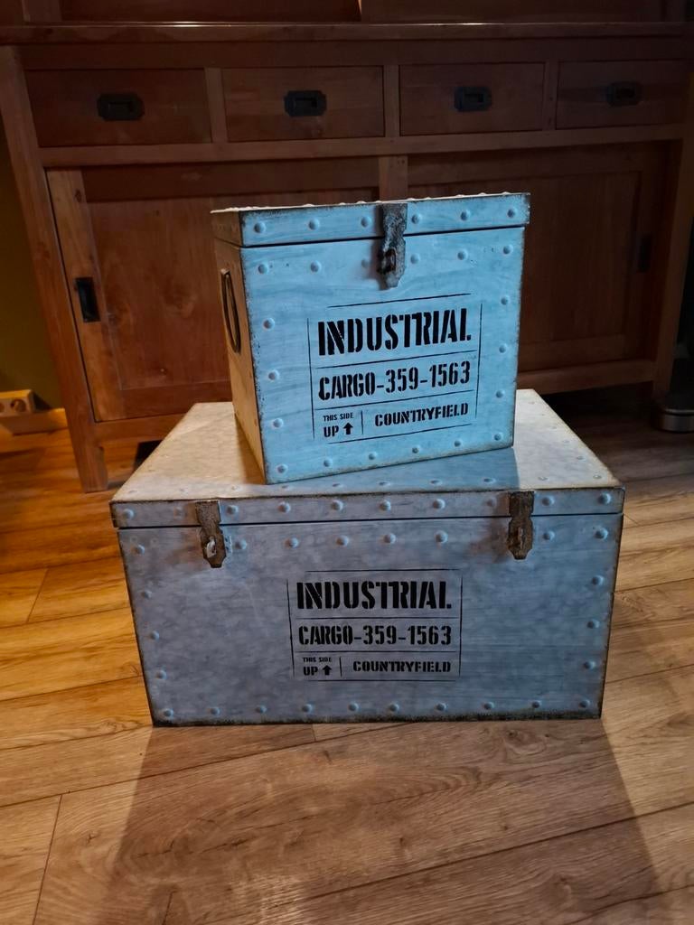 Set van 2 industriële metalen kisten - decoratief, Huis en Inrichting, Woonaccessoires | Kisten, Ophalen, Minder dan 50 cm, Gebruikt
