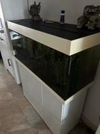 1m aquarium met externe pomp, Ophalen, Zo goed als nieuw, Leeg aquarium