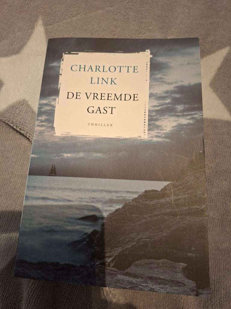 Charlotte Link de vreemde gast, Boeken, Thrillers, Ophalen of Verzenden, Gelezen, Charlotte Link