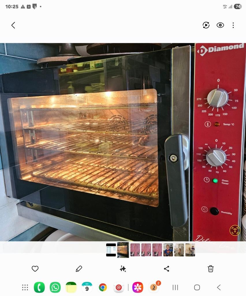 Horeca Oven Diamond - Zo goed als nieuw, incl. roosters, Ophalen of Verzenden
