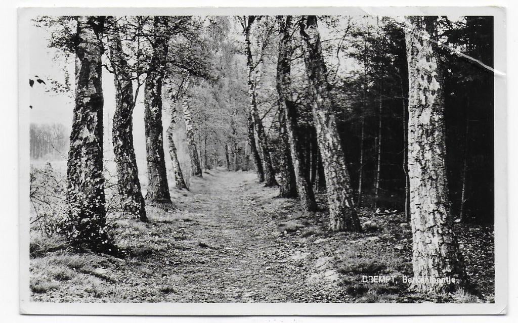 Drempt Berkenlaantje Oude Gelopen Ansichtkaart ( 1660 ), Verzamelen, Ophalen of Verzenden, 1940 tot 1960, Gelopen