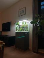 Aquarium voor aquascaping met kast 60b 45h 35d, Ophalen, Gebruikt, Leeg aquarium