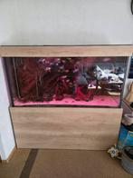 Aquarium met biolog 150x80x60, Dieren en Toebehoren, Vissen | Aquaria en Toebehoren, Ophalen, Leeg aquarium