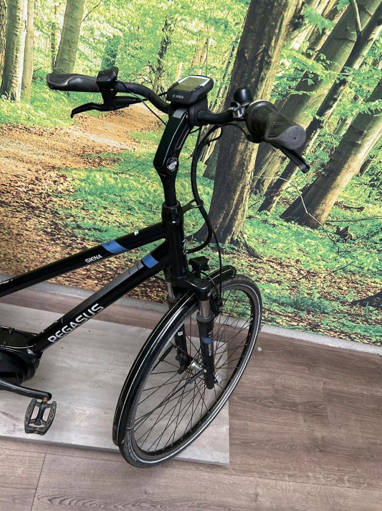 Pegasus Siena E7F 300WH Dames monotube Zwart Mat / Blauw 53c, Fietsen en Brommers, Overige merken, Gebruikt, -, - 0
-, NL
