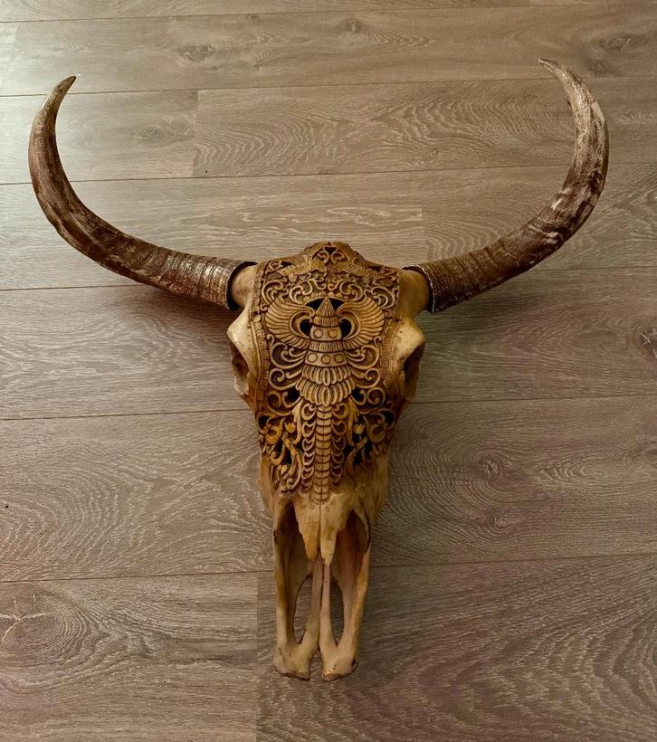 Longhorn Schedel met Hoorns – Western Skull Wanddecoratie, Huis en Inrichting, Woonaccessoires | Wanddecoraties, Zo goed als nieuw