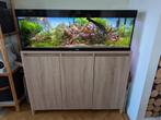 Ultieme aquascape met veel techniek, Ophalen, Zo goed als nieuw, Gevuld zoetwateraquarium