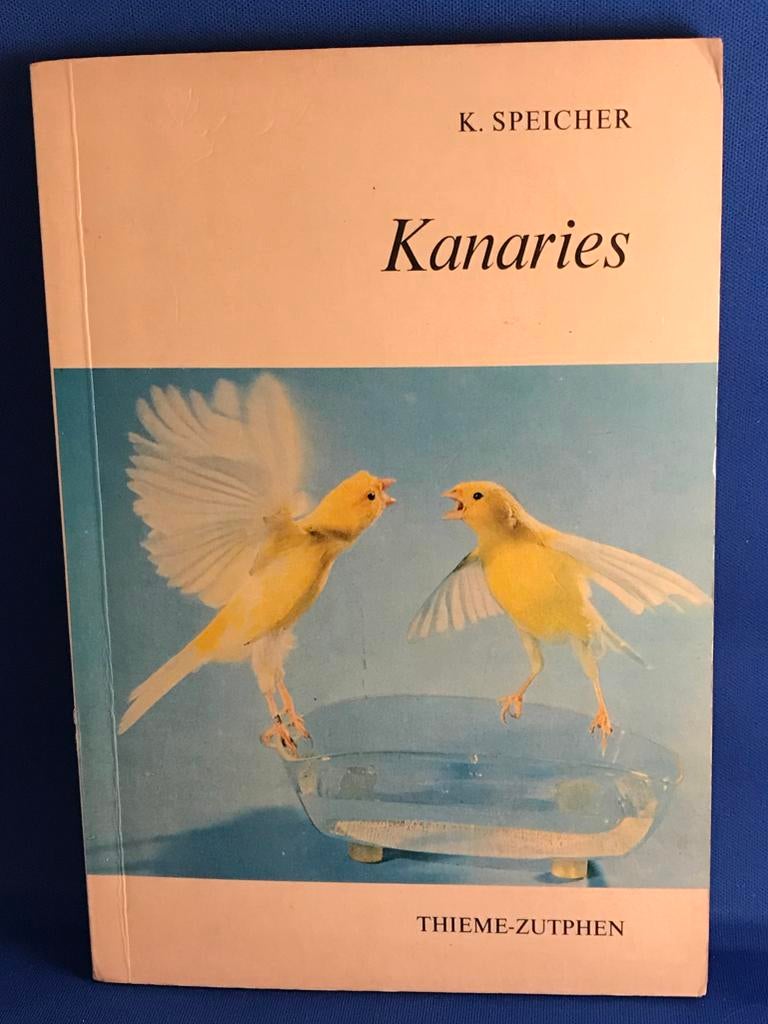 Kanaries, Dieren en Toebehoren, Vogels | Kanaries, Meerdere dieren, Kleurkanarie