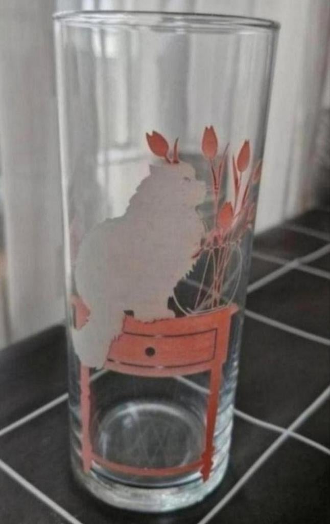 Glas met Kat opdruk, Ophalen of Verzenden, Zo goed als nieuw, Bierglas