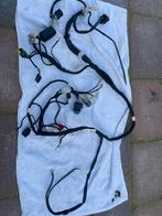 Kabelboom Derbi Limited Edition 2020, Motoren, Ophalen, Gebruikt