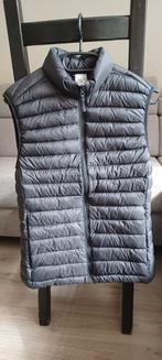 NIEUW Golf Bodywarmer Zwart maat S, Ophalen of Verzenden, Nieuw, Maat 38/40 (M), Zwart