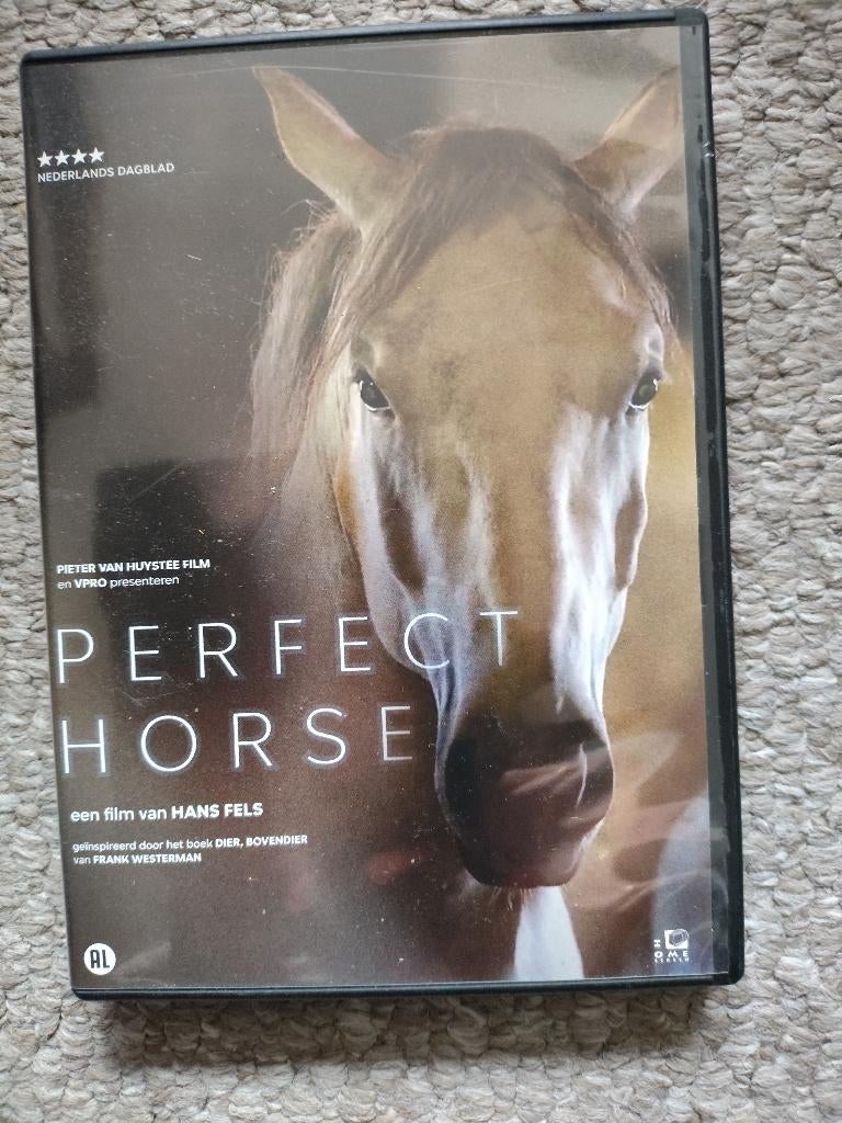 Perfect Horse in nette staat, Alle leeftijden, Ophalen of Verzenden, Zo goed als nieuw