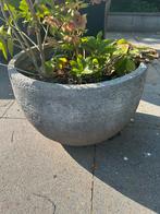 Grote lage pot, Ophalen, Overige materialen, Gebruikt, Rond