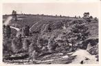 08994 - Rheden - Panorama vanaf de Posbank - gel. 1959, Verzamelen, Verzenden, 1940 tot 1960, Gelopen, Gelderland