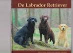 De Labrador Retriever, Verzenden, Nieuw