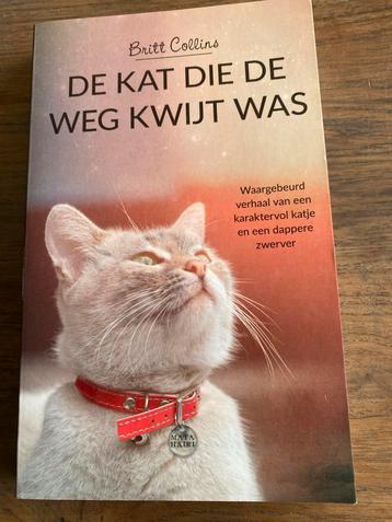 De kat die de weg kwijt was beschikbaar voor biedingen