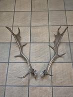 Damhert Gewei landelijke natuurlijke  uitstraling kerst, Verzamelen, Dierenverzamelingen, Ophalen of Verzenden, Gebruikt, Hert