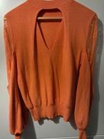 Zalm kleur trui, Kleding | Dames, Ophalen of Verzenden, Nieuw, Maat 38/40 (M), Overige kleuren