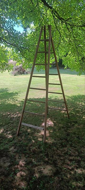 plukladder of fruitladder ladder beschikbaar voor biedingen