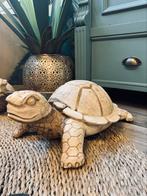 Houten beeld groot schildpad massief houtsnijwerk, Ophalen