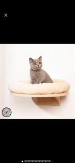 5 wand lig planken 4 kussens, Dieren en Toebehoren, Katten-accessoires, Ophalen of Verzenden, Zo goed als nieuw