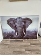 Glazen foto schilderij olifant 120x80 cm, Ophalen of Verzenden, Zo goed als nieuw, Schilderij, 100 tot 125 cm
