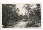 Beilen - Terhorsterzand [KRST009-0662, Verzamelen, Ansichtkaarten | Nederland, Verzenden, 1960 tot 1980, Gelopen, Utrecht