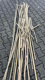Bamboestokken - Diverse lengtes, Ophalen of Verzenden, Gebruikt, Minder dan 180 cm, Palen