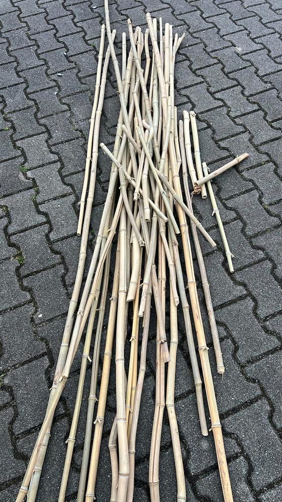 Bamboestokken - Diverse lengtes, Tuin en Terras, Palen, Balken en Planken, Gebruikt, Palen, Minder dan 180 cm, Ophalen of Verzenden