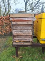 Goed overwinterde bijenvolken, Bijen