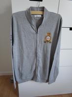 Cortefiel - sportief grijs vest maat XL, Ophalen of Verzenden, Zo goed als nieuw, Grijs, Maat 56/58 (XL)