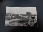Hippolytushoef, Panorama, fotokaart, ongelopen., Verzenden, 1940 tot 1960, Ongelopen, Noord-Holland