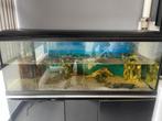 Aquarium, Dieren en Toebehoren, Vissen | Aquaria en Toebehoren, Ophalen, Zo goed als nieuw, Filter of Co2