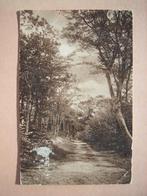 Ansichtkaart De Boschen Bergen NH, Ophalen of Verzenden, 1960 tot 1980, Noord-Holland