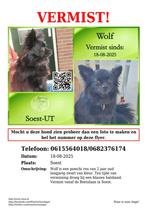 Helpppppp vermist!!!