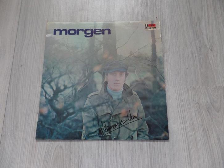 Herman van Veen - Morgen LP, Cd's en Dvd's, Vinyl | Nederlandstalig, Gebruikt, Levenslied of Smartlap, 12 inch, Ophalen of Verzenden
