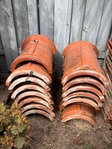 nokvorsten 12 stuks beschikbaar voor biedingen