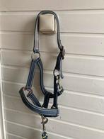 Blauwe Halster Pony met touw, Dieren en Toebehoren, Paarden en Pony's | Hoofdstellen en Tuigage, Ophalen of Verzenden, Zo goed als nieuw