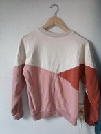 Roze trui meisjes maat 164, Meisje, Trui of Vest, Ophalen of Verzenden, Zo goed als nieuw