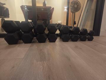 Hastings Hexagon Dumbbell Set 2,5-20kg beschikbaar voor biedingen