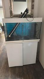 Complete waterschildpadden terrarium, Dieren en Toebehoren, Ophalen, Gebruikt, Verlichting of Verwarming