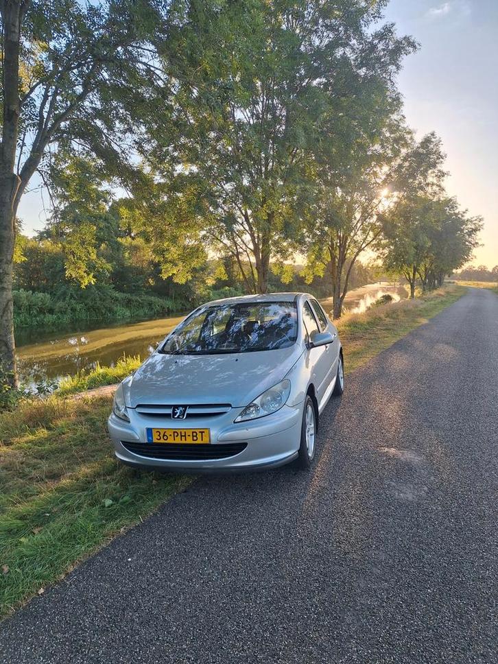 Peugeot 307 2.0, Auto's, Peugeot, Particulier, Benzine, Hatchback, Handgeschakeld, Zilver of Grijs, Zwart, Leder en Stof, Voorwielaandrijving