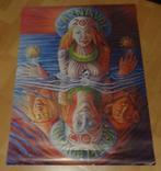 Gratis Carnavalsposter, Verzamelen, Posters, Ophalen of Verzenden, Zo goed als nieuw, A1 t/m A3, Overige onderwerpen