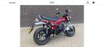 Yoshimura uitlaat voor Honda DaxST125, Ophalen of Verzenden, Nieuw