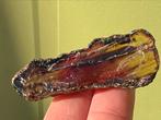 Amber blauwe barnsteen palmsteen UV actief uit Indonesië, Verzamelen, Mineralen en Fossielen, Ophalen of Verzenden, Mineraal