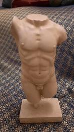 Mannentorso- een koopje, Ophalen of Verzenden, Zo goed als nieuw