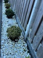 Witte stenen, plantjes en lampen, Ophalen, Zo goed als nieuw