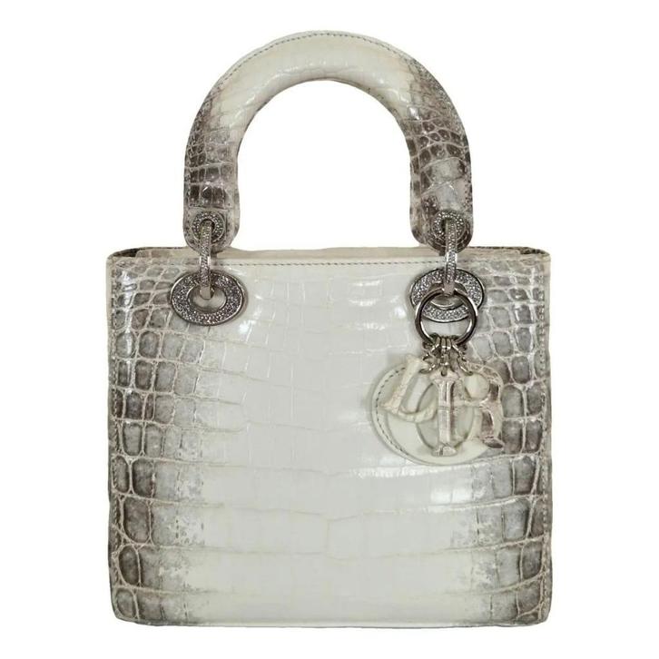 D.i.o.r Tas Bag - Lady Krokodil, Sieraden, Tassen en Uiterlijk, Tassen | Damestassen, Nieuw, Handtas, Grijs, Ophalen of Verzenden