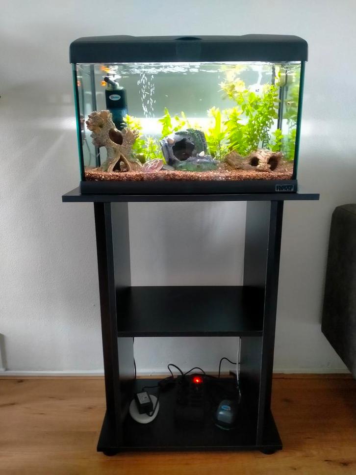 Te koop complete aquarium plus kastje en benodigd heden., Dieren en Toebehoren, Vissen | Aquaria en Toebehoren, Zo goed als nieuw